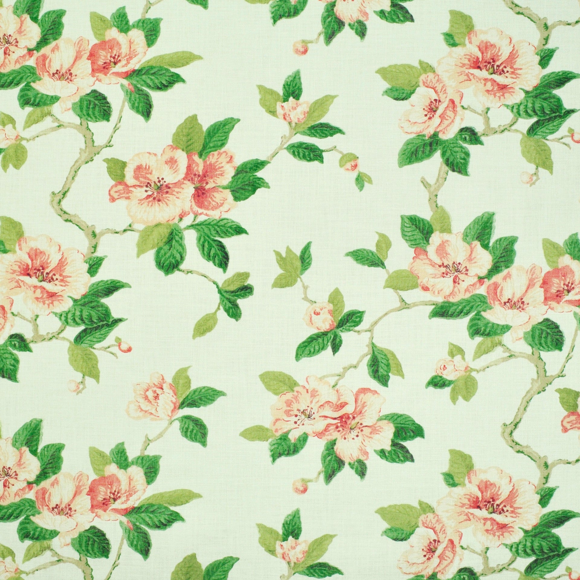 Grandma's Floral - Coral